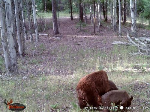 67460190_10219691358293068_2669420168437825536_o_10219691358213066