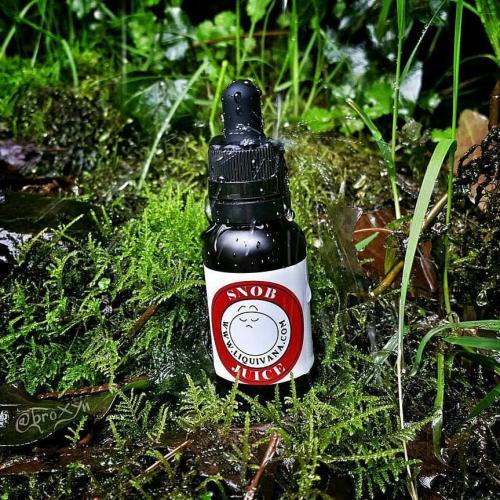 17554216_1455701587793863_2258676192664096428_n