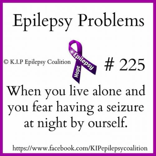 32555242_10204471054612332_636930958368440320_n_10204471054572331