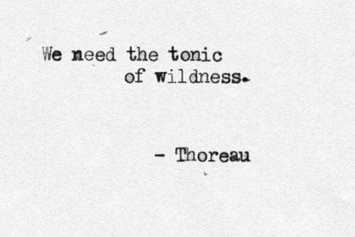 49276790_10205252476307386_8978479328123682816_n_10205252476267385