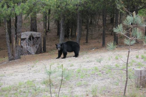 10473612_10204071917376807_8669098810854991618_n_10204071917376807