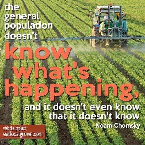 904223_678137818893351_2033730668_o