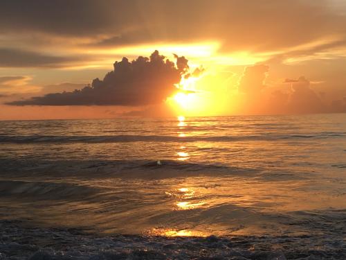 C9C6E6E2-8532-49EF-BDCA-679147417266