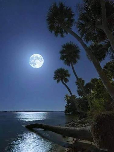 21:57:20 GMT-0500 (CDT)