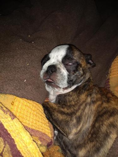 07:14:22 GMT-0500 (CDT)