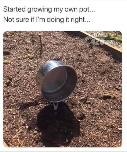 17:35:22 GMT-0400 (EDT)