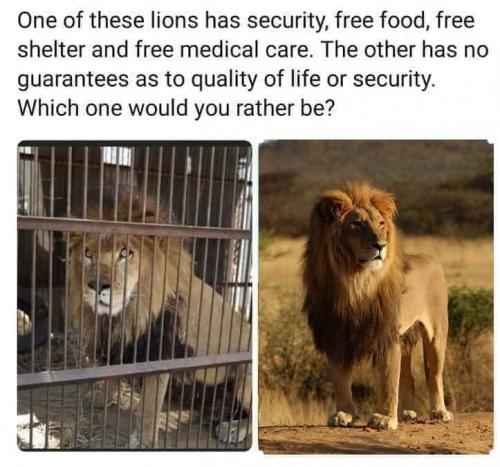 11:36:34 GMT-0400 (EDT)