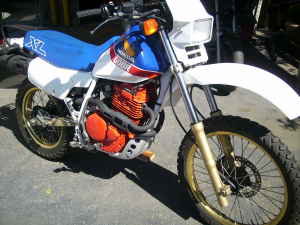 34901_1546212253830_4034124_n_1546212253830