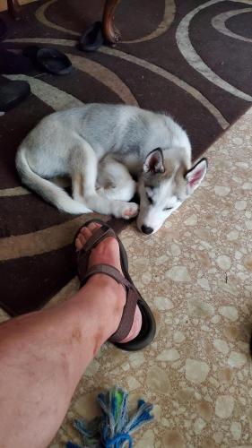 09:51:03 GMT-0400 (EDT)