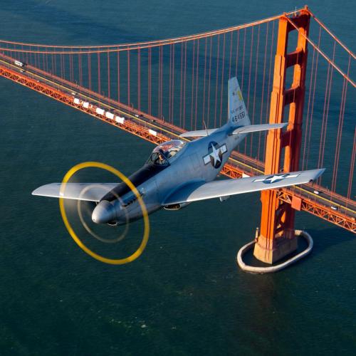 123299266_10159344142668623_8147481474176345392_o