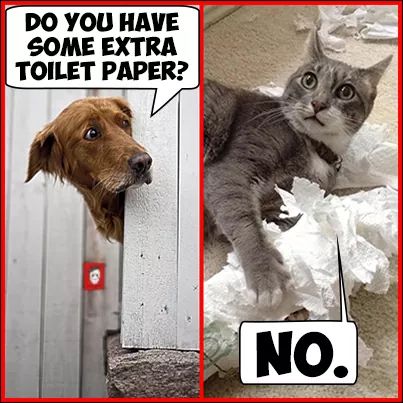 10:43:43 GMT-0400 (EDT)