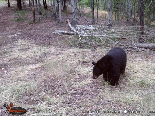 41558891_10217220279237636_1797420332789792768_o_10217220279157634