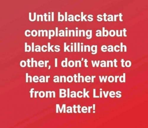 result_1598985522421