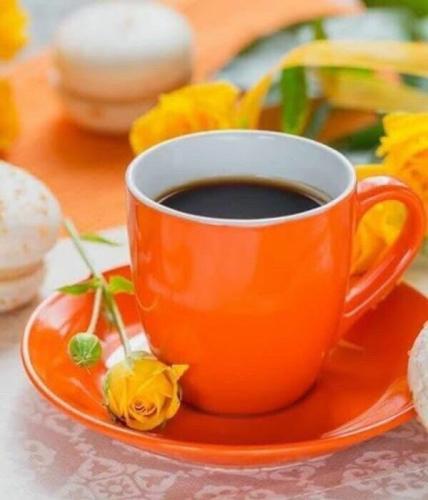 06:51:30 GMT-0500 (CDT)