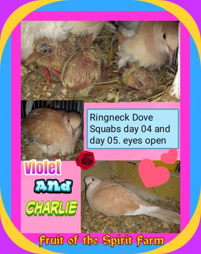 09:33:16 GMT-0500 (CDT)