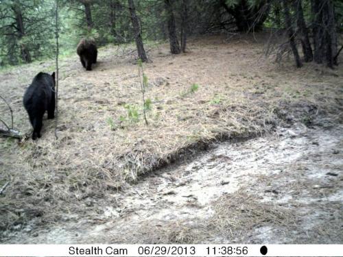 971851_10201513529778716_338225588_n_10201513529778716