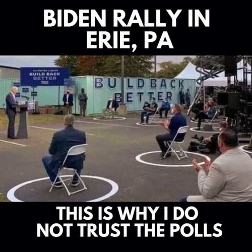 This is why I don't trust polls