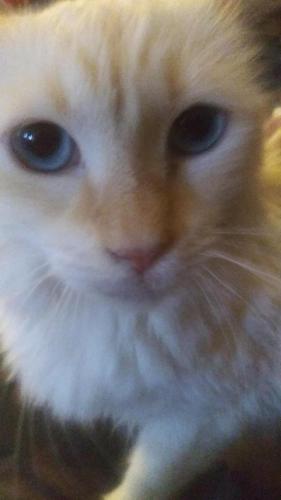 12:54:19 GMT-0700 (PDT)