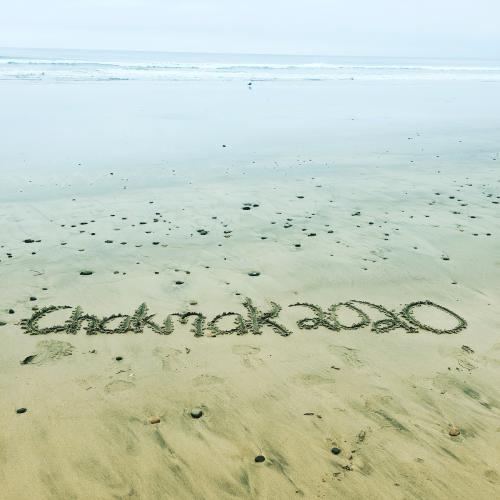 IMG_20200724_132739_329