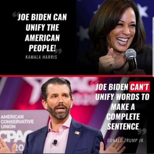 117930431_10223440258897101_8692124633347103736_n