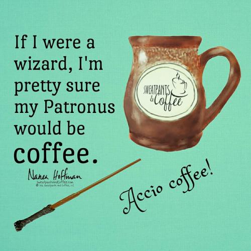 13963035_10201881902445146_9216018158732465551_o_10201881902445146