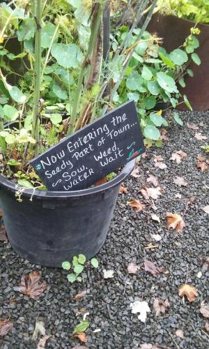 17:21:25 GMT-0700 (PDT)