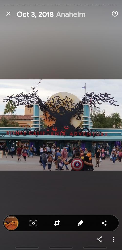 Screenshot_20201003-112608_Photos