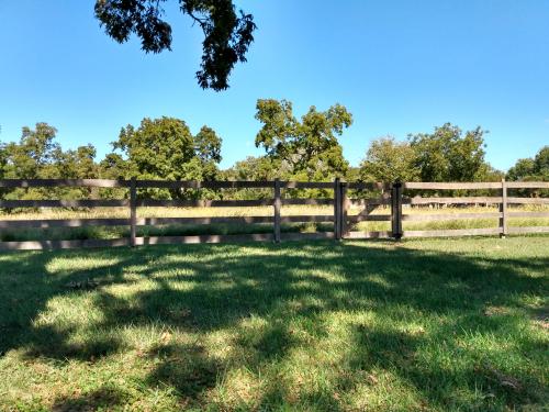 IMG_20201001_131438662_HDR