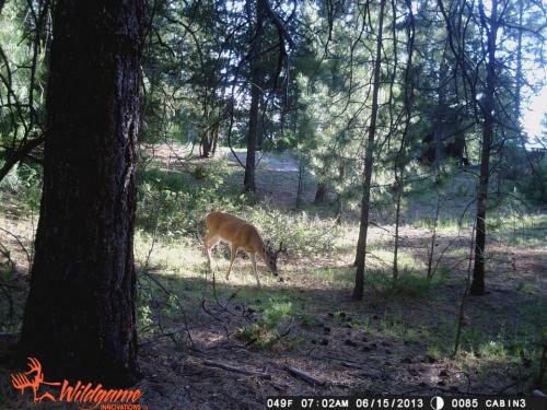 969671_10201513534538835_1302240924_n_10201513534538835