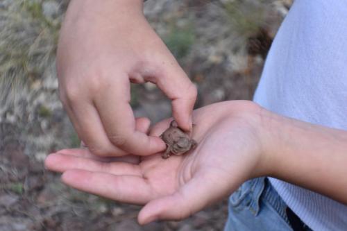 13:53:56 GMT-0700 (MST)