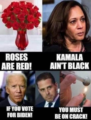 biden145