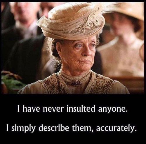 insult liberal funny