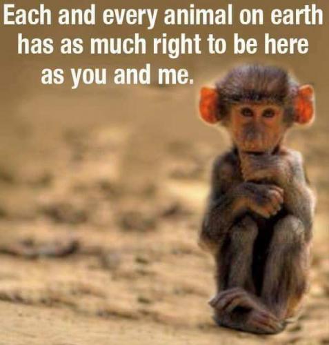 20:36:59 GMT-0500 (CDT)