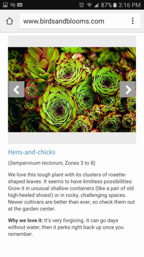 20248184_10203382690803917_3582328615727007303_o_10203382690803917