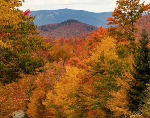 FB_IMG_1601993319078~2