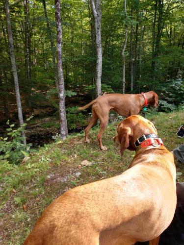 IMG_20200911_154322292_HDR