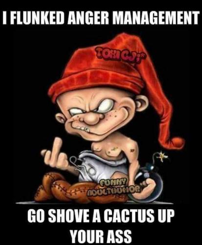 I Flunked Anger Management