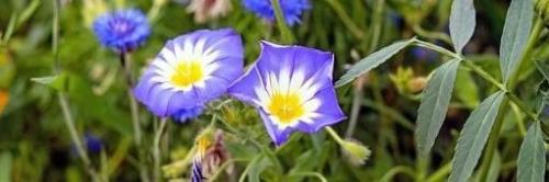 B83C84FF-6E9E-454F-AE30-720B5123146E