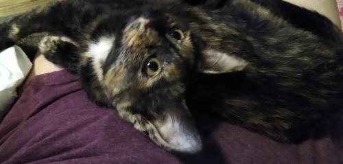 05:39:54 GMT-0500 (CDT)