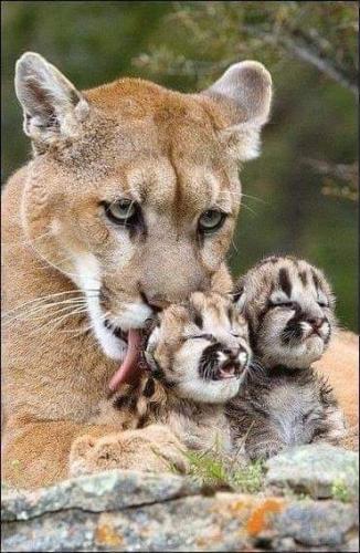 10:12:20 GMT-0500 (CDT)