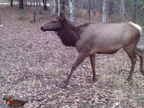 46994880_10217827186689943_5169603666042159104_o_10217827186609941