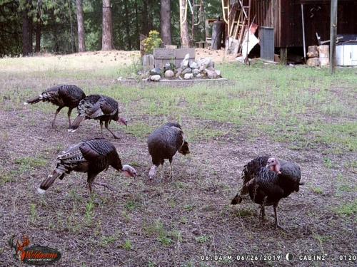 67530734_10219691359893108_6879245342726946816_o_10219691359853107