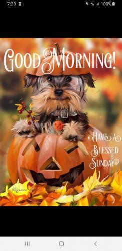 07:15:26 GMT-0500 (CDT)