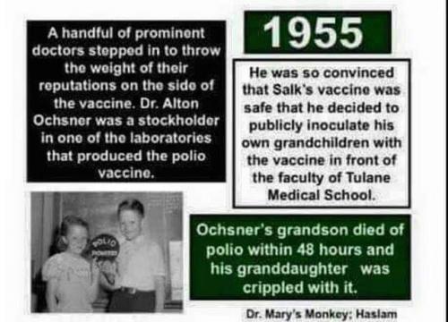 FB_IMG_1548767622168