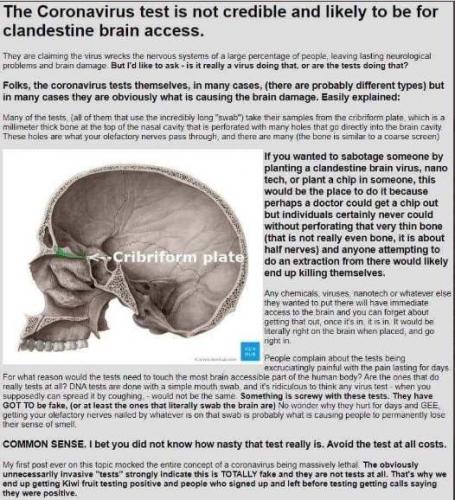 accessing the brain to be infected or damage