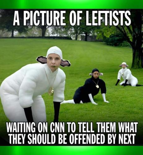 FB_IMG_1601752399934