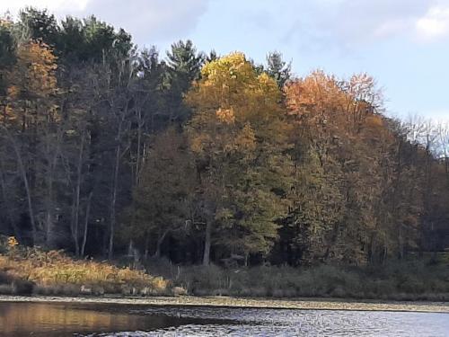 21:45:06 GMT-0400 (EDT)