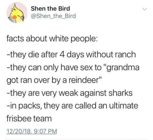 48427859_10205224946099148_4081553871460106240_n_10205224946059147