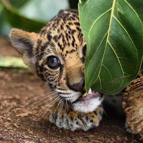 16:26:54 GMT-0500 (CDT)