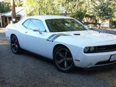 10288782_10203463112471628_353920945387731087_n